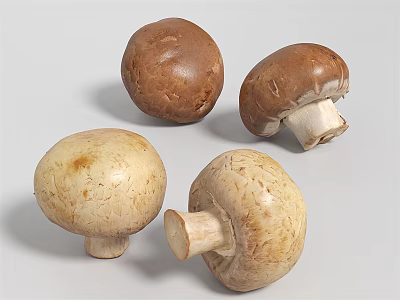 Four Whole Fresh Brown and Beige Mushrooms with Natural Texture as Nutritious Vegetable 3d model