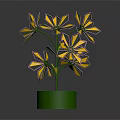 Colorful Flower Shaped Decorative Ornament Set With Multicolored Petals And Green Base