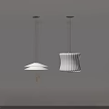 Two Modern Pendant Lights With Different Lampshade Designs For Home Ceiling Decor 3d model