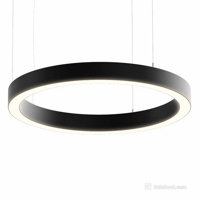 Stylish Modern Circular Black And White Illuminated Pendant Light For Home Interiors 3d model 