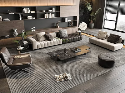 Modern Living Room Sofa And Coffee Table Set With Bookshelves Plant And Area Rug 3d model