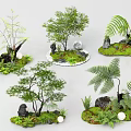 Natural Small Tree and Fern Decorative Landscape with Stones and Moss