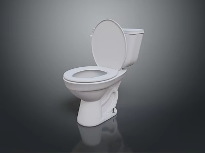 Modern White Ceramic Toilet With Open Lid For Daily Household Use 3d model