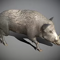 Realistic Wild Boar With Rough Gray Fur And Prominent Tusks Standing