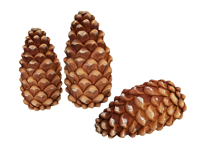 Three Natural Dried Brown Pine Cones Isolated on White Background 3d model Three Natural Dried Brown Pine Cones Isolated on White Background 3d model