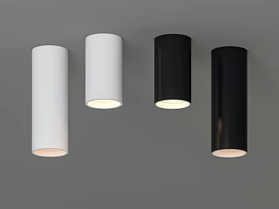 Sleek Cylindrical White and Black Downlights Mounted on Gray Ceiling with Illuminated Design 3d model