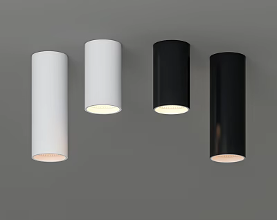 Sleek Cylindrical White and Black Downlights Mounted on Gray Ceiling with Illuminated Design 3d model