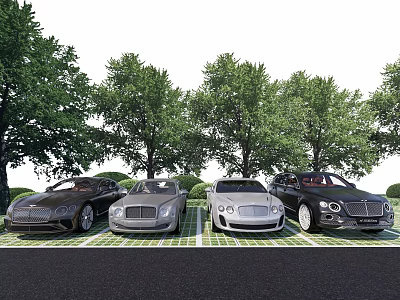 Luxury Cars Parked On Green Grid Patterned Ground With Trees In Background 3d model