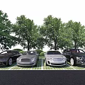 Luxury Cars Parked On Green Grid Patterned Ground With Trees In Background