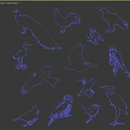 Flying Animals Silhouettes In Green Blue Gradient On Black Background With Various Species