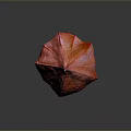 Red Lantern Shaped Edible Fruit With Textured Skin On Dark Background