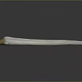 Elephant Ivory Tusk With White Body Yellow Tip And Spotted Surface