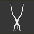 Durable Shiny Stainless Steel Pliers As Professional Hardware Tool With Reflective Surface