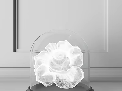 Decorative Ornament Set With Transparent Glass Dome White Flower And Minimalist Wall Decor 3d model