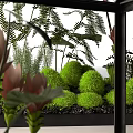 Decorative Ornament Set With Small And Large Glass Greenhouse Terrariums Plants And Stacked Books