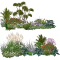 Vibrant Garden Plant Combinations Featuring Trees Shrubs Flowers And Green Foliage
