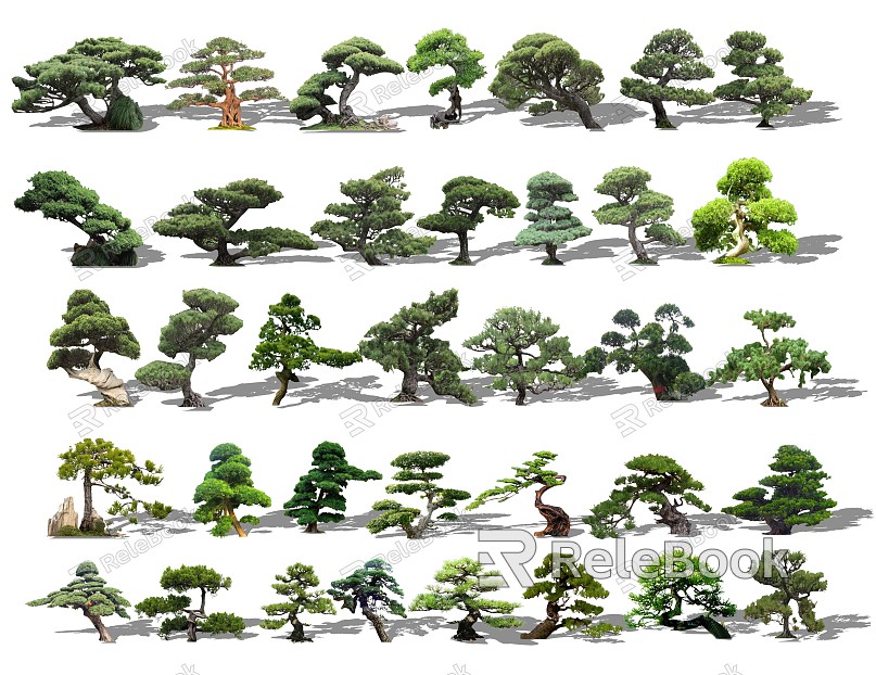 Modern Pine Modeling Pine Combination model