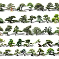 Modern Pine Modeling Pine Combination 3d model