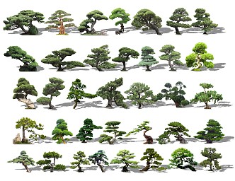 Modern Pine Modeling Pine Combination 3d model