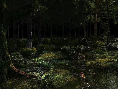 Enchanting Forest Landscape With Tall Trees Green Grass And Sunlight Shadows 3d model
