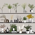 Stylish Vases With Various Flowers And Green Plants Arranged On White Shelves Interior