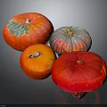 Colorful Fresh Pumpkins in Red Orange and Green Striped Hues on Dark Display Background