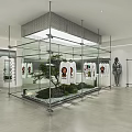 Modern Clothing Store With Glass Display Case T-shirts Mannequin Green Plant And Stones