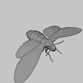 Detailed Moth With Intricate Patterned Wings Flying Against Black Background 3d model