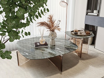 Modern coffee table model