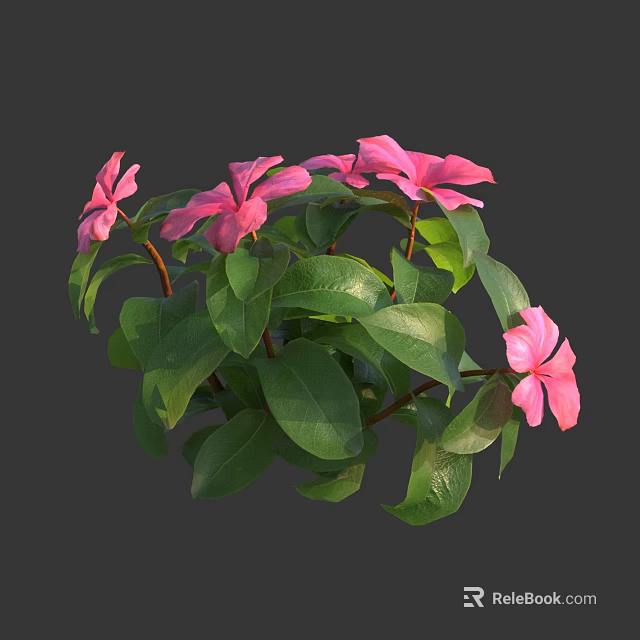 Blooming Pink Flowers With Green Leaves In Lush Plant Bush 3d model 