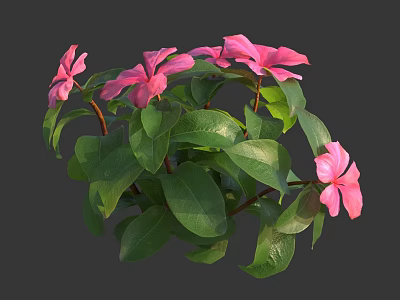 Blooming Pink Flowers With Green Leaves In Lush Plant Bush 3d model
