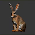 Realistic Brown Rabbit With Long Ears Sitting On Dark Shiny Surface 3d model