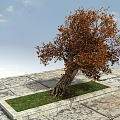 Arbor With Orange Brown Leaves And Thick Trunk On Square Grass Plot Under Blue Sky 3d model