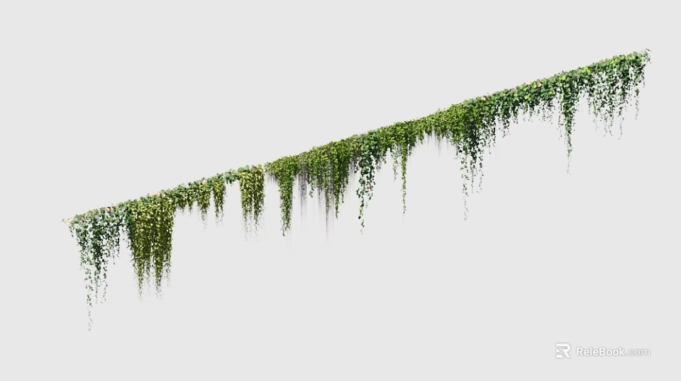 Green Hanging Ivy Vines Featuring Long Trails For Natural Decor 3d model 