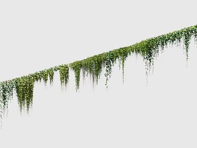 Green Hanging Ivy Vines Featuring Long Trails For Natural Decor 3d model