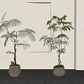 Bonsai Plants With Lush Green Leaves Potted in Light Colored Containers for Indoor Decor