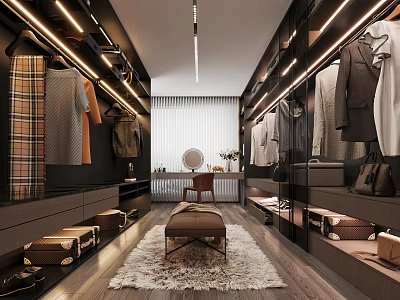 Modern Walk In Closet Interior With Wardrobe Mirror And Rug 3d model