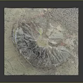 Detailed 3D Terrain Model Featuring Volcanic Landscape With Textured Surface And Colorful Topographic Details