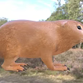 Brown Reptile With Whiskers And Sharp Claws In Grassy Field Habitat