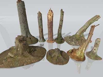 Wooden stump dead wood rotten wood withered branches dead tree trunk wood trees root carving dry trees dry wood 3d model