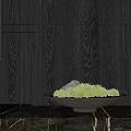 Green Moss In Brown Bowl With Stone On Black Wooden Wall Under Lighting