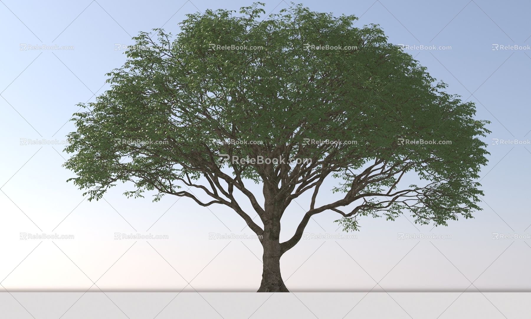 Landscape Arbor Tree 3d model