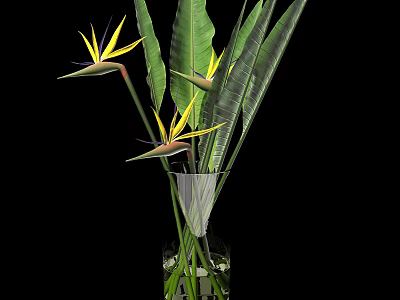Yellow Strelitzia Flowers in Transparent Glass Vase with Green Long Leaves and Water 3d model
