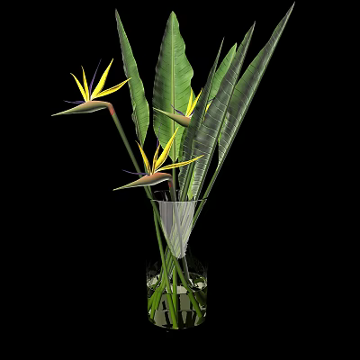 Yellow Strelitzia Flowers in Transparent Glass Vase with Green Long Leaves and Water 3d model