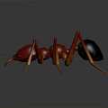 Detailed Red Ant 3D Model With Black Abdomen And Orange Legs