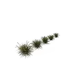 Herbaceous Plants Various Sizes Arranged In Two Rows With Human Silhouettes For Size Comparison 3d model