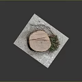 Rustic Wooden Stump Featured on Stone Surface with Small Green Plants