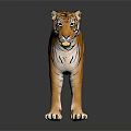 Tiger Model With Orange Fur And Black Stripes Standing On Black Background With Reflection 3d model