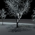 Tall Trees With Bare Branches And Snow Covered Twigs In Winter Landscape