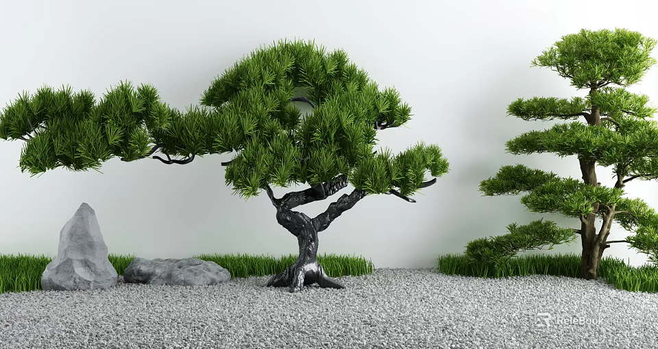 Tranquil Courtyard Garden with Bonsai Pine Trees Gravel Ground Green Grass Stones and White Wall 3d model 